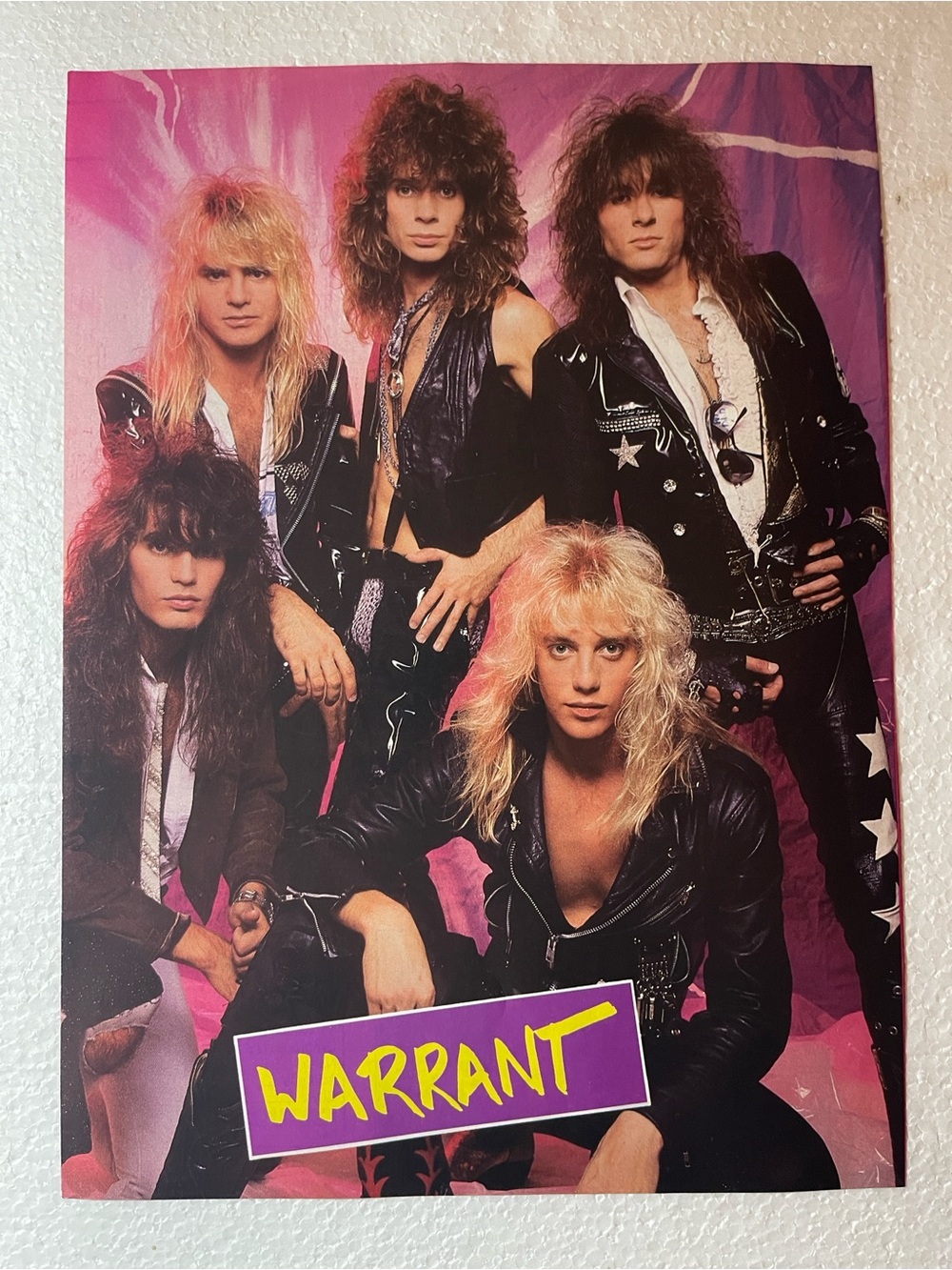 Warrant Band Pinup - Pink & Purple Rock Graphic